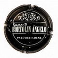 Bortolin Angelo 4